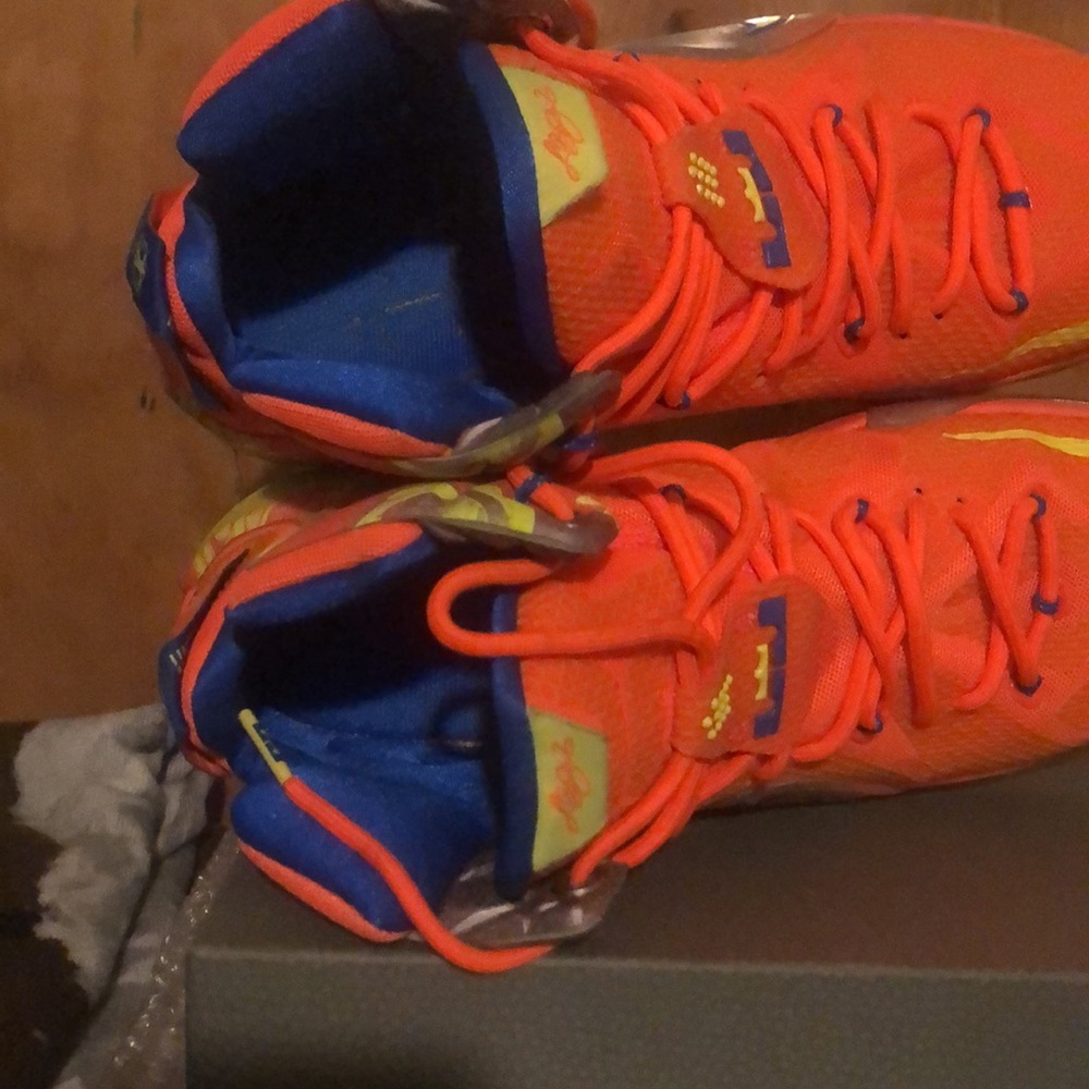Lebrons - Picture 7 of 7